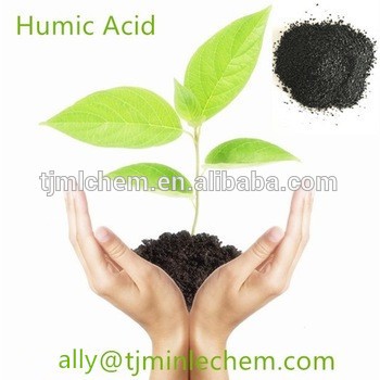 Potassium Humic Acid Column Granular K Humate 60%